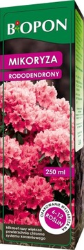 Mikoryza do RODODENDRONÓW BiOPON - 250ml wystarcza na 6-12 roślin