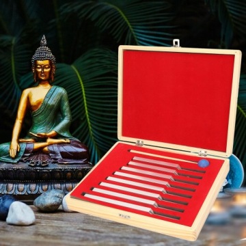 НАБОР ТУЛОВИЩА ЧАКР ДЛЯ ИСЦЕЛЕНИЯ 256 ~ 512 ГЦ 8 ШТ.