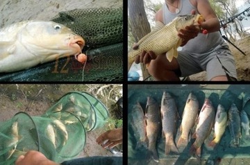 POP UP плавающие ШАРЫ 10мм - 10 шт.