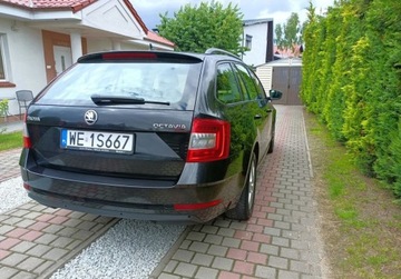 Skoda Octavia III Kombi Facelifting 1.0 TSI 115KM 2020 Skoda Octavia Salon Polska, GWARANCJA Gethelp, Udokumentowany przebieg, zdjęcie 18