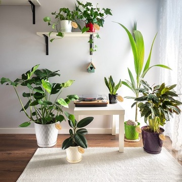 ПЛАСТИКОВЫЙ ЦВЕТОЧНЫЙ ГОРШОК НА ПОДСТАВКЕ КРЫШКА ДЛЯ ЦВЕТОЧНОГО ВАЗОНА 25см ЗЕЛЕНЫЙ KADAX