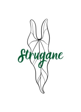 Палочки с названиями растений