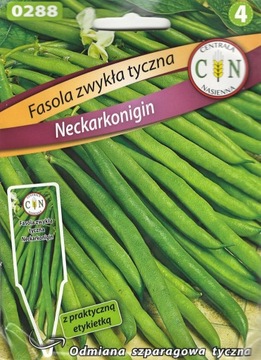 FASOLA SZPARAGOWA ZIELONA NECKARKONIGIN BARDZO PLENNA BEZ ŁYKA