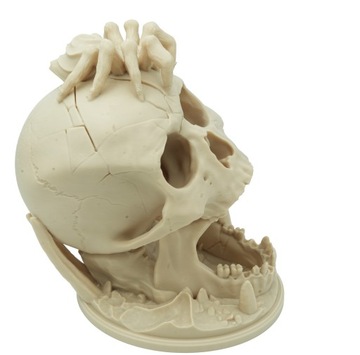 Череп «Поцелуй пустыни» с пауком - башня с кубиками - Череп «Поцелуй пустыни»