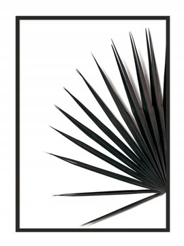 OBRAZ PLAKAT W RAMIE 33x43 cm Liść P866