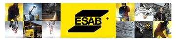 Профессиональная маска HELMET ESAB ECO ARCII 90x110