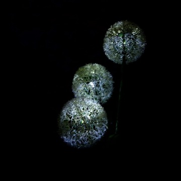 Подключаемая солнечная лампа DANDELIES LED цветочная лампа SOLAR GARLIC FLOWERS