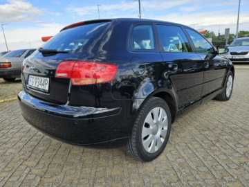 Audi A3 8P Hatchback 3d 1.6 102KM 2007 Audi A3 1,6 MPI Benzyna 102KM, zdjęcie 2
