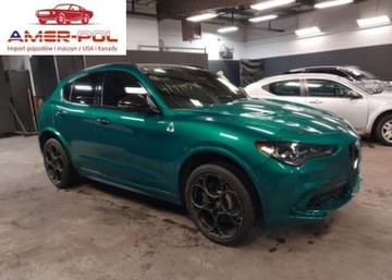 Alfa Romeo Stelvio 2024 Alfa Romeo Stelvio Quadrifoglio 2024 2.9l 2.9 Benzyna 505KM