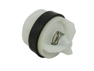 ZAWOREK DO POMPY RAU 4000000022