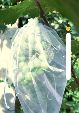 СУМКИ-ЧЕХЛЫ ДЛЯ ФРУКТОВ, ОВОЩЕЙ, ВРЕДИТЕЛЕЙ 100 шт.