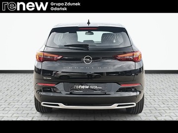 Opel 2023 Opel Grandland Polski Salon | Pierwszy właściciel, zdjęcie 5