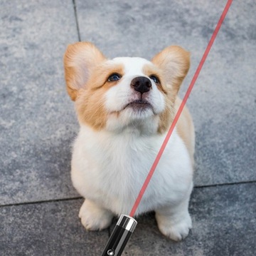 ЛАЗЕРНАЯ ЛАЗЕРНАЯ УКАЗКА УФ-ФАКЕЛ ИГРУШКА ДЛЯ КОШКИ 3 В 1 УКАЗКА + 3 БАТАРЕИ