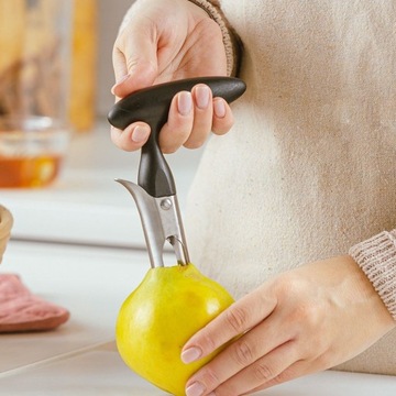 МАТЕРИАЛ ПО СТАЛИ ЯБЛОКИ, ГРУШИ, ФРУКТЫ