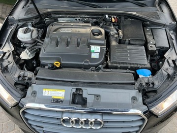 Audi A3 8V Hatchback 3d 1.6 TDI clean diesel 110KM 2014 Audi A3 2015R Skóra Klimatronik Tempomat Navi Alu Felgi 6-Biegów Bezwypadek, zdjęcie 14