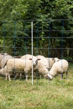 АНТИВОЛКОВАЯ СЕТЬ ТИТАННАЯ СЕТЬ 50М ВЫСОТА 145 СМ СИНИЙ И БЕЛЫЙ КЕРБЛ