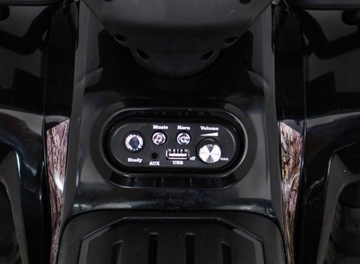 Автомобиль Quad Storm Black