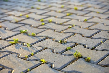 Антимох Фасадные крыши - Концентрат 5 л