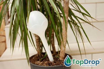 УВЛАЖНИТЕЛЬ ДЛЯ ПОЛИВАНИЯ ШАРИКИ ДЛЯ ГОРШЕЧНЫХ РАСТЕНИЙ ШАР 8 шт.