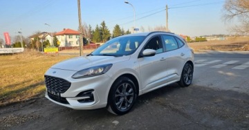 Ford Kuga III SUV 1.5 EcoBoost 150KM 2020 Ford Kuga BENZYNA 2020r. wersjia ST piekny perlowy kolor 1.5 Benzyna, zdjęcie 16
