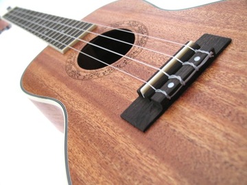 Концертная гавайская гитара в Сеговии. Лучшая модель + многочисленные аксессуары.