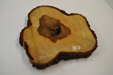 Duży Wybór Plastrów Kasztana z Czeczotą 41x39Gr4cm