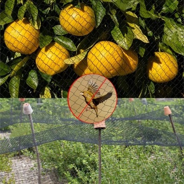 SIATKA NA PTAKI OCHRONNA NA BALKON DRZEWKA PRZECIW PTAKOM MOCNA 15x15m