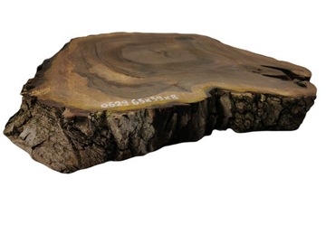 Срез древесины грецкого ореха 65x59x8 см, большой выбор смолы