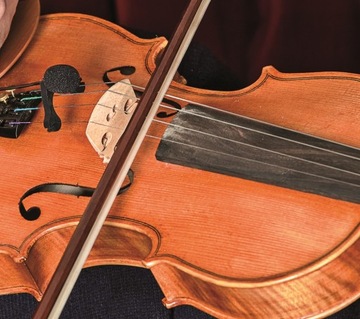 Микрофон для скрипки/альта Prodipe VL21