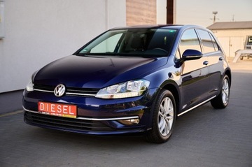Volkswagen Golf VII Hatchback 3d Facelifting 1.6 TDI-CR DPF BMT 115KM 2019 VW GOLF VII 1.6 diesel 115KM Navi DVD led Alu16 zarejestrowany w Polsce, zdjęcie 7