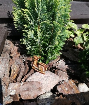 Las w słoiku Skuter las w szkle