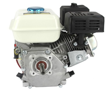 СОСТАВ ДВИГАТЕЛЯ 7,0 л.с. OHV, 19 ММ, ГЕНЕРАТОР