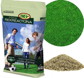 TRAWA REKREACYJNA 5kg MNIEJ KOSZENIA SPORT ODPORNA