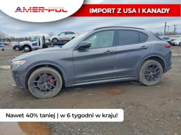 Alfa Romeo Stelvio SUV Facelifting 2.0 Turbo 280KM 2021 Alfa Romeo Stelvio 2021 ALFA ROMEO STELVIO TI 2.0 Benzyna 280KM