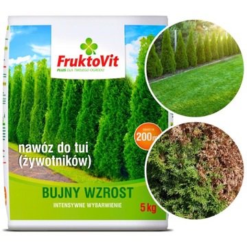 NAWÓZ WIOSENNY POD TUJE SZMARAGD ŻYWOTNIKI THUJA SZYBKI WZROST 5KG