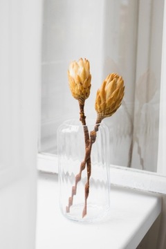 ПРОТЕЯ сушеный серебряный цветок Прометей для вазы