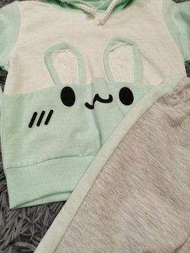 Справочный костюм установил 80 брюк и толстовку кролика