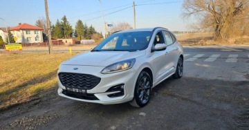 Ford Kuga III SUV 1.5 EcoBoost 150KM 2020 Ford Kuga BENZYNA 2020r. wersjia ST piekny perlowy kolor 1.5 Benzyna, zdjęcie 23