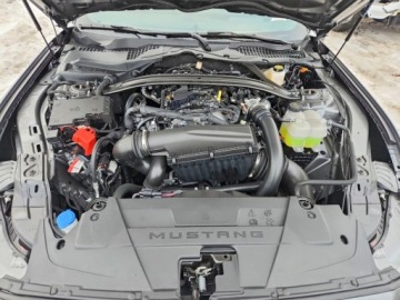 Ford Mustang VI 2026 Ford Mustang 2026 2.3 Benzyna 310KM, zdjęcie 6