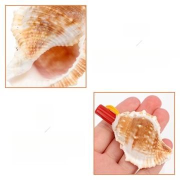 GWIZDEK DLA PTAKÓW, KACZKA, ŚMIESZNE GWIZDKI W KSZTAŁCIE MUSZLI SĘDZIEGO