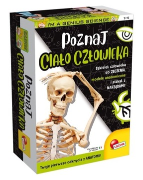 Poznaj ciało człowieka - Lisciani