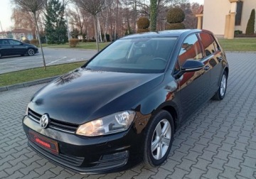 Volkswagen Golf VII Hatchback 3d 1.4 TSI 140KM 2014 Volkswagen Golf Bezwypadkowy - serwisowany - benzyna - 1,4 - 140 KM 1.4, zdjęcie 2