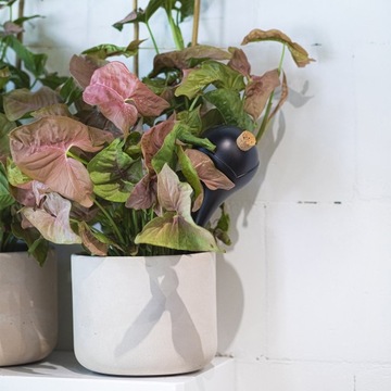 Шарики для полива растений С ПРОБКОЙ 400мл 4 шт