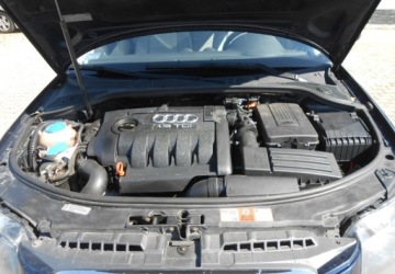 Audi A3 8P Hatchback 3d 1.9 TDI 105KM 2006 Audi A3 Sportback Audi A3 II (8P) sportbag 1.9 Diesel 105KM, zdjęcie 12