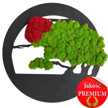 Drzewko NA PREZENT mech chrobotek OBRAZ na ściane drzewko BONSAI 40