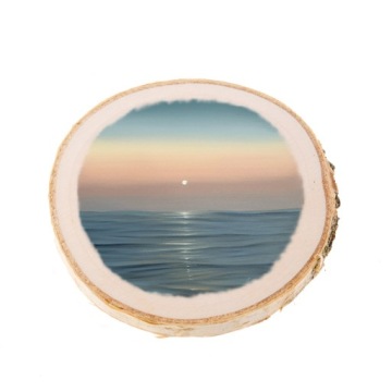 Срез дерева, деревянный 8-10 см - полированный!