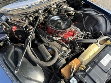 Buick Riviera III 1973 Buick Riviera 1973 – V8 455, Automat, zdjęcie 31