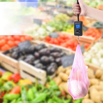 КРЮЧОК ДЛЯ РЫБАЛКИ ЧЕМАДА ДОРОЖНЫЕ ВЕСЫ LCD 50 кг