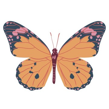 Naprasowanka Motyl Termo Naklejka Aplikacja do 20cm