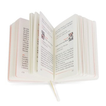 НАБОР ДЛЯ ПРИЧАСТИЯ: КНИГА + ЧЕТКИ + ЧЕХОЛ